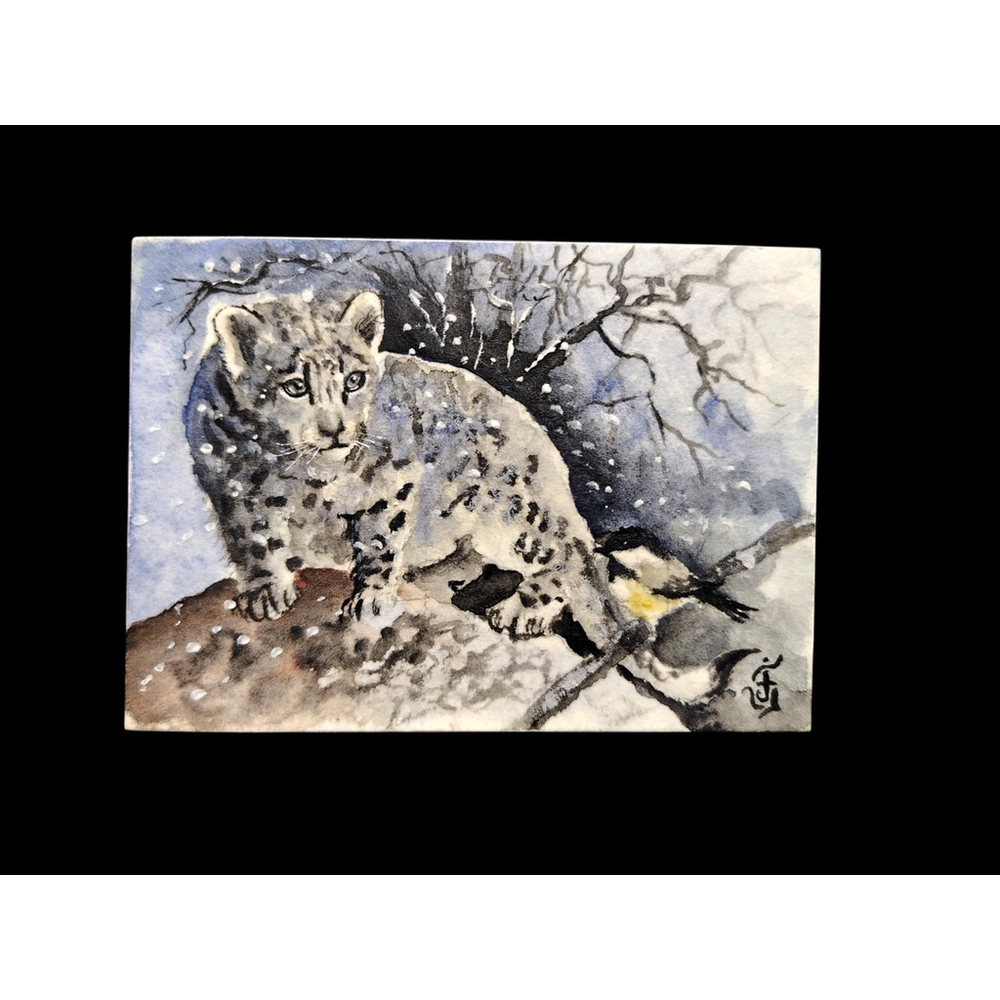 Signed Original Aceo Water Color Painting Snow Tiger Cub Cat Bird 2013 Jose V